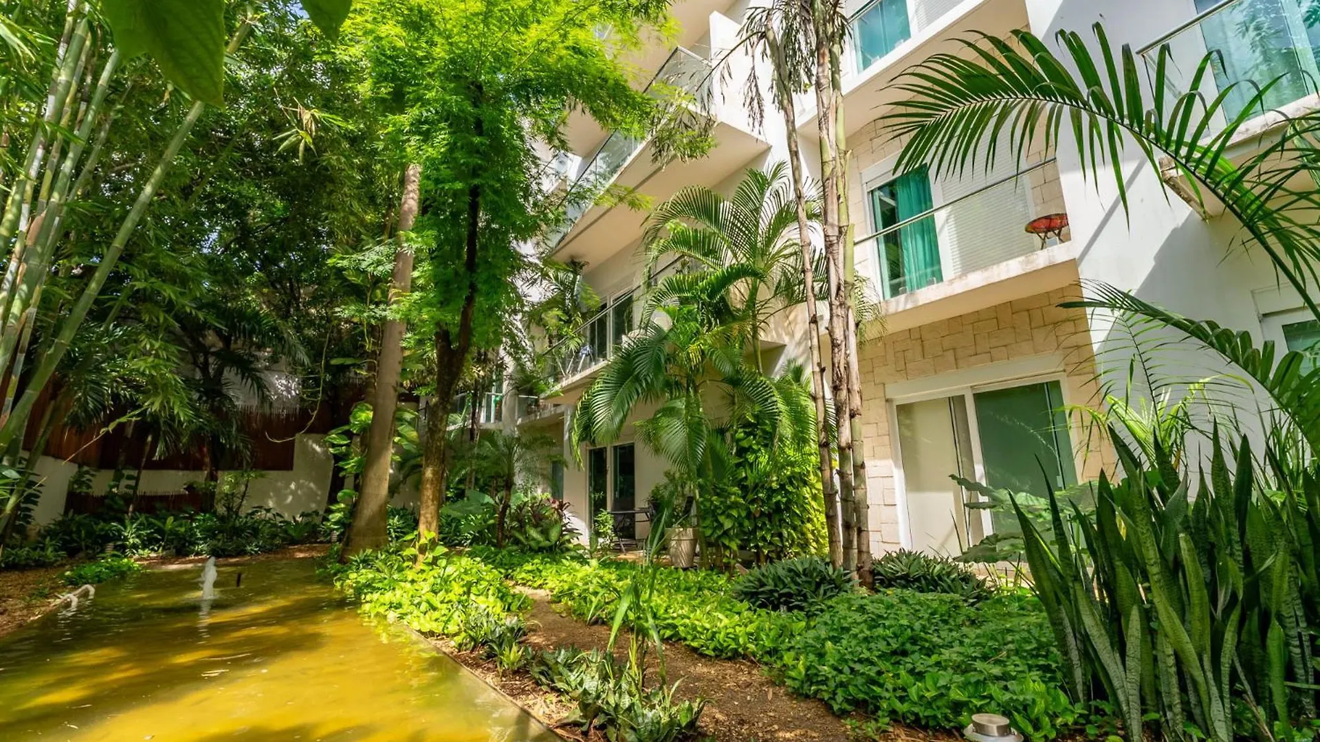 Papaya 15 Apartments Playa del Carmen Mexiko